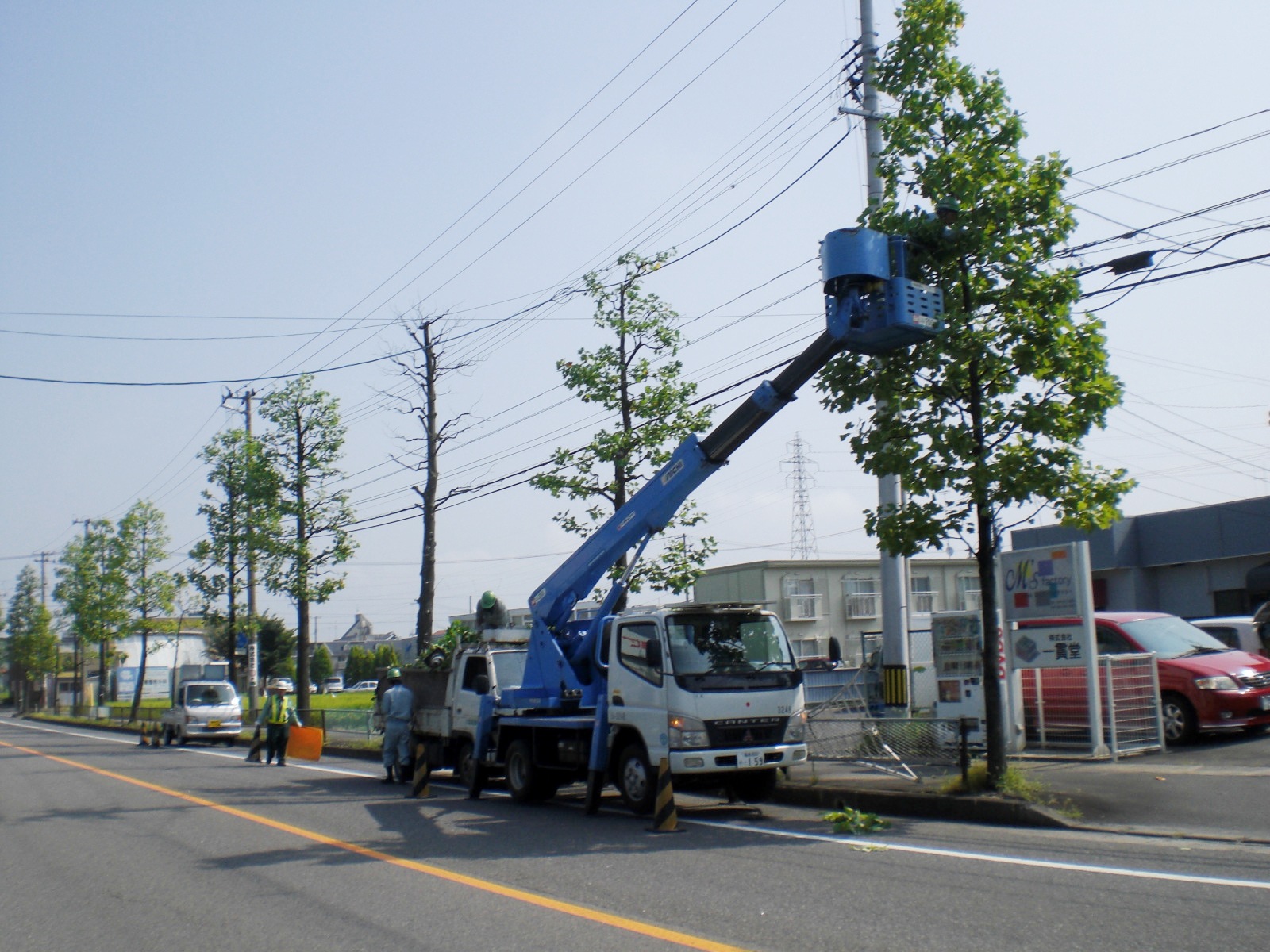 街路樹管理（郡山市）