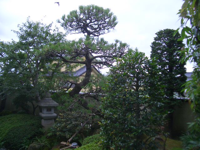 郡山市　Ｅ様邸　（お庭手入れ）