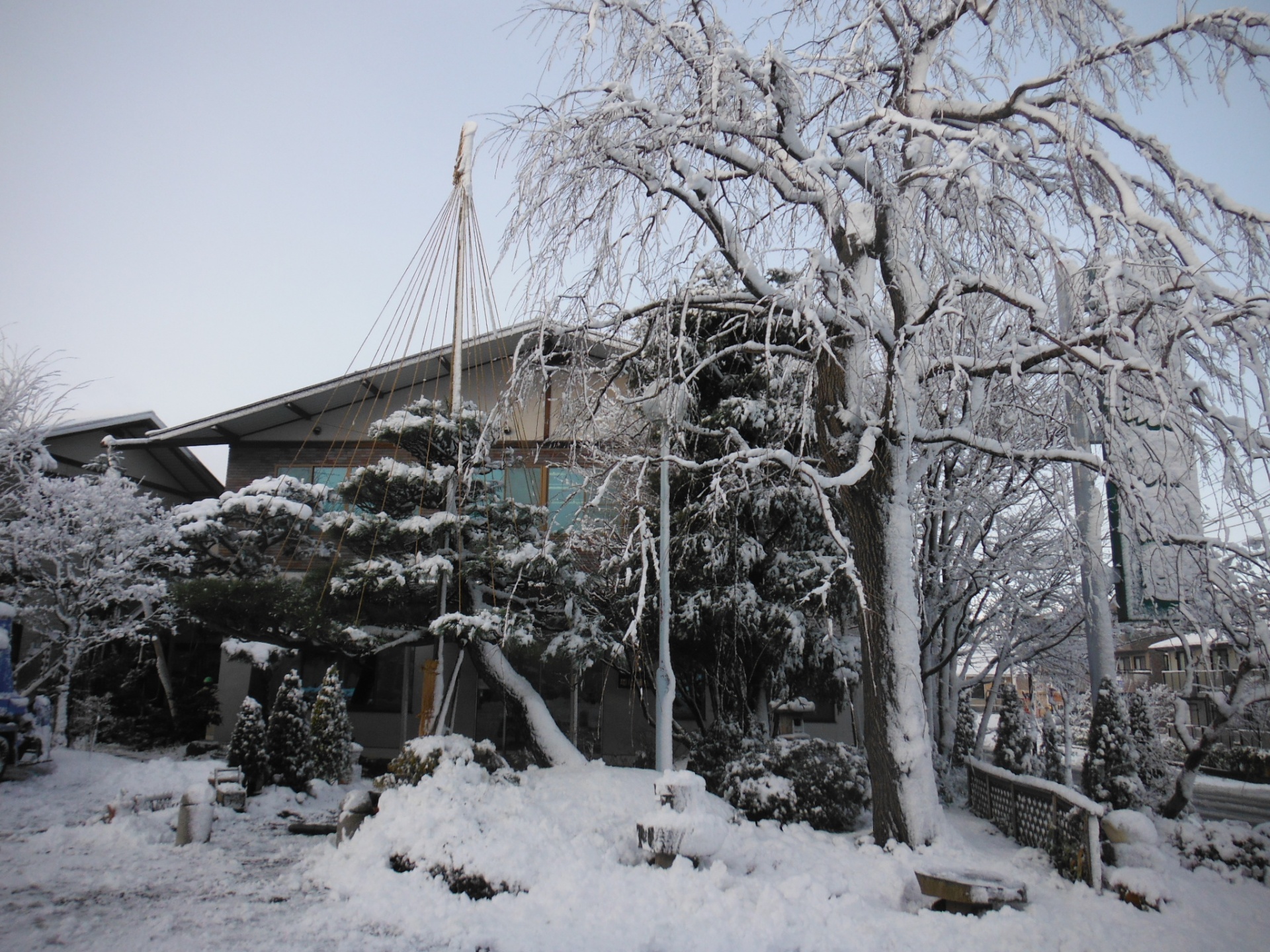 雪景色