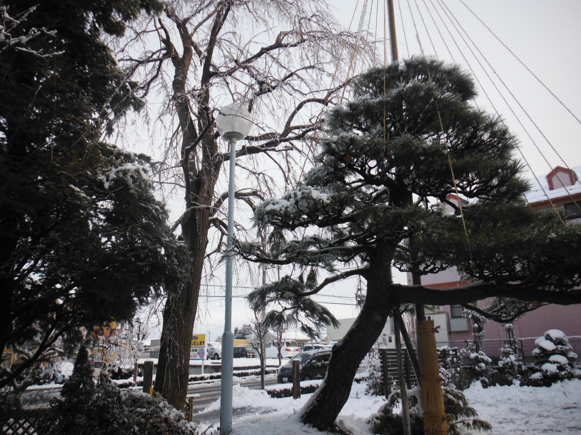 雪景色