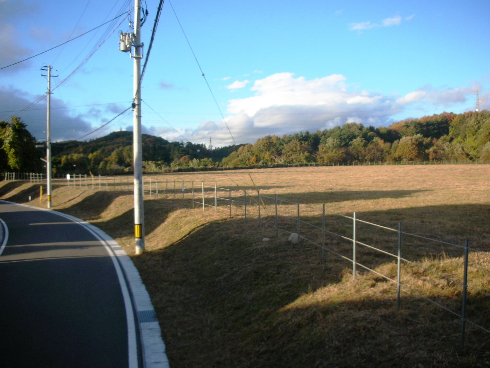 宅地除草（郡山市）