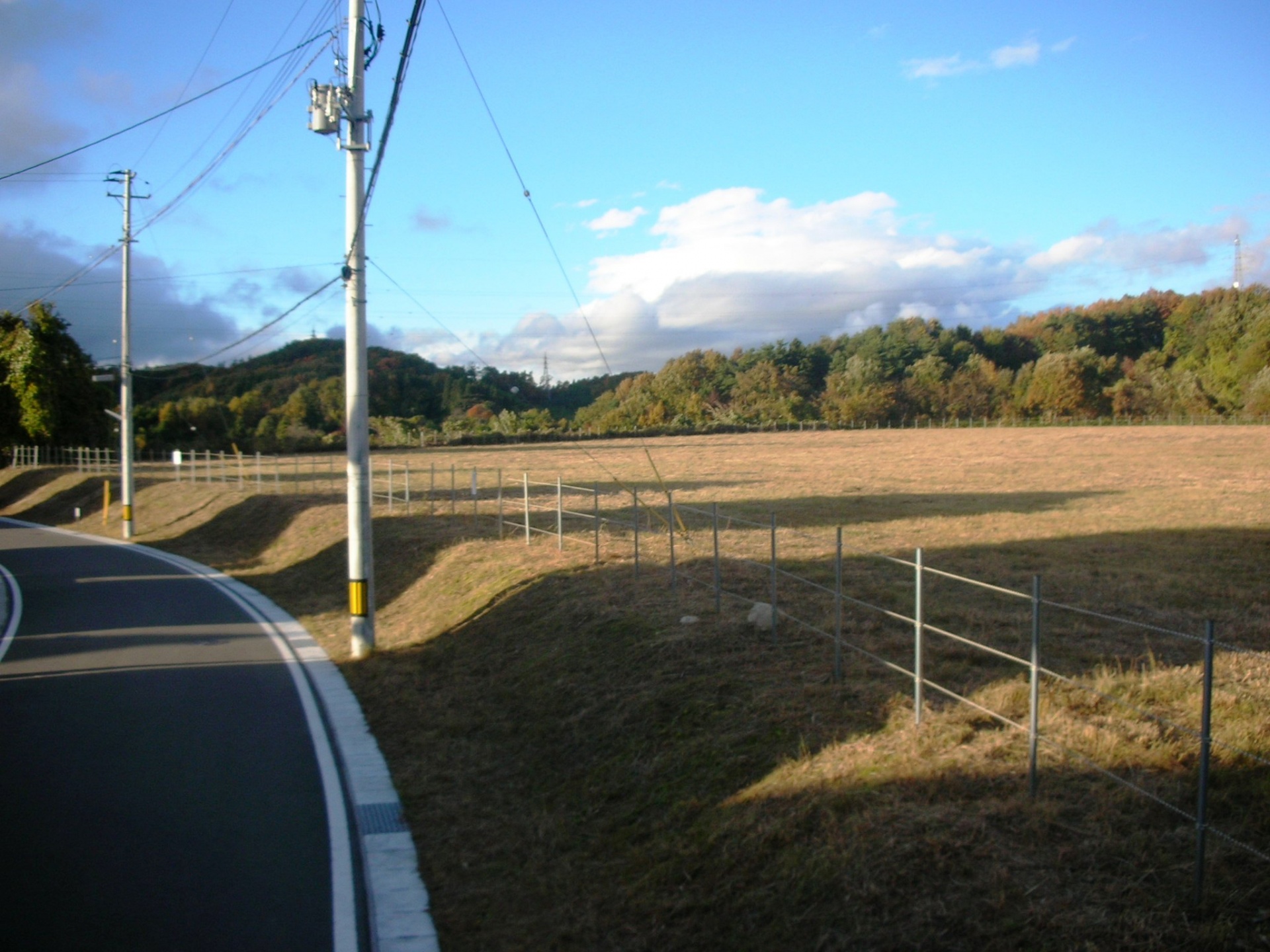 宅地除草（郡山市）