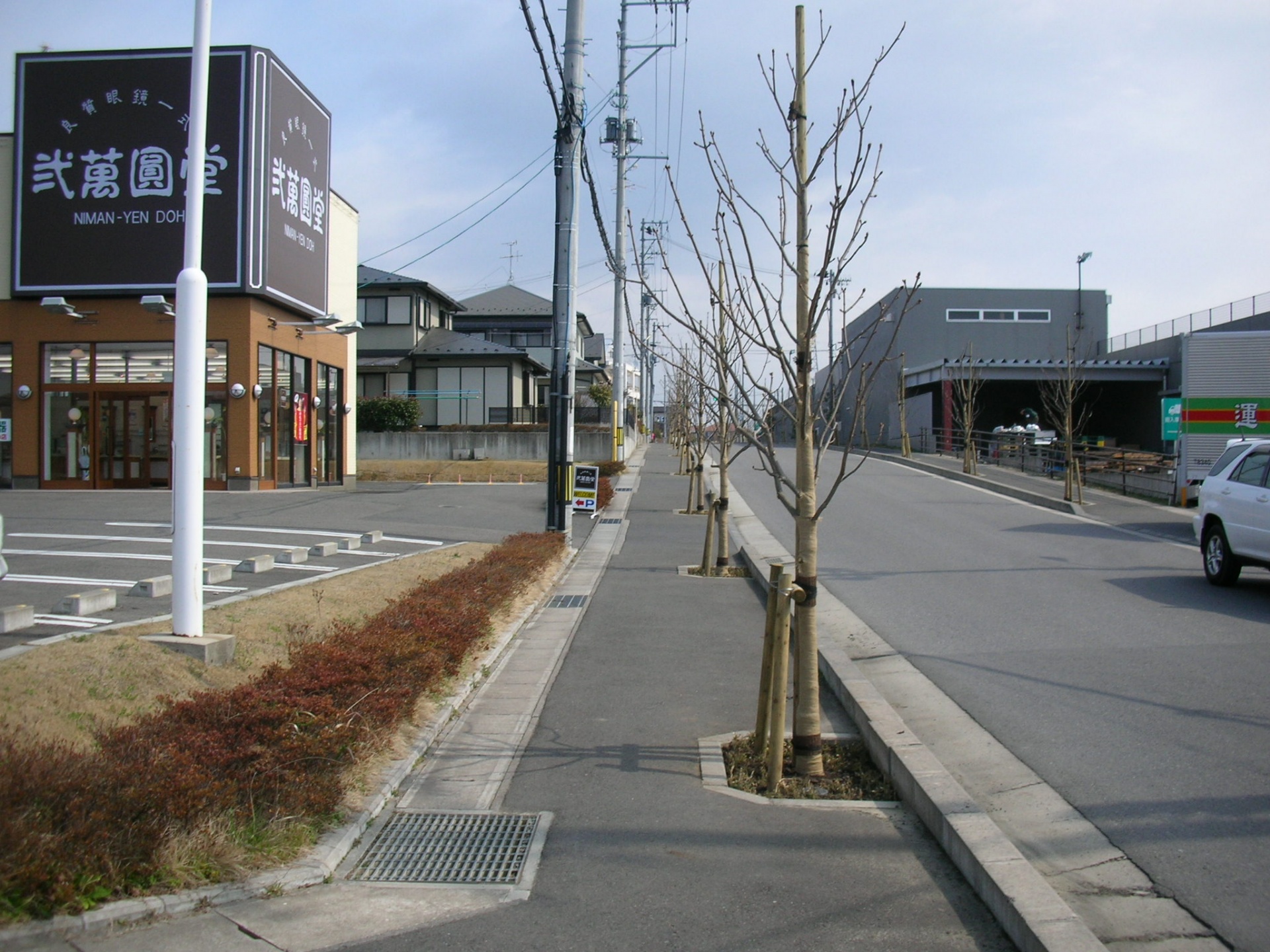 街路樹植栽　（郡山市）