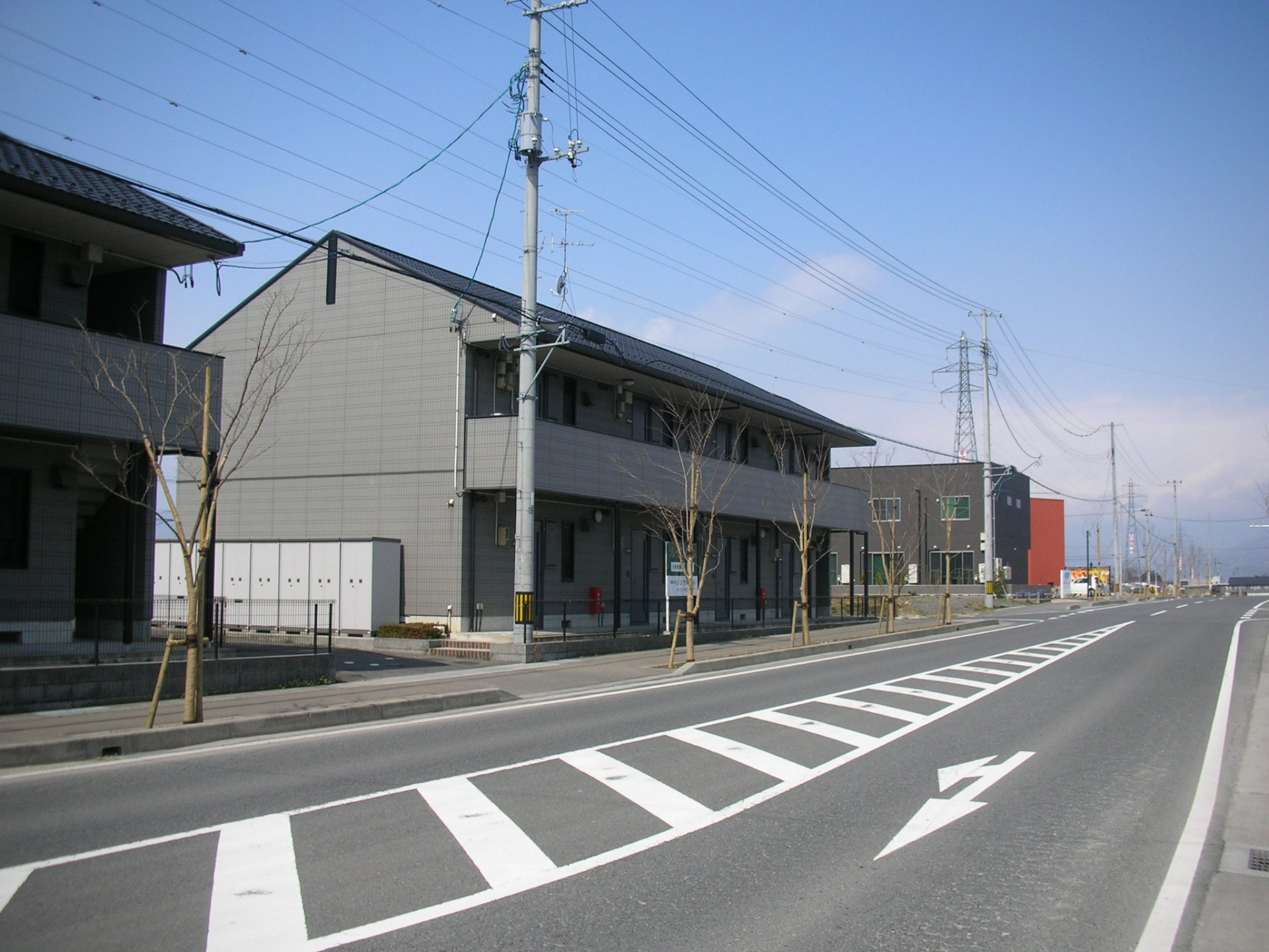 街路樹植栽　（郡山市）