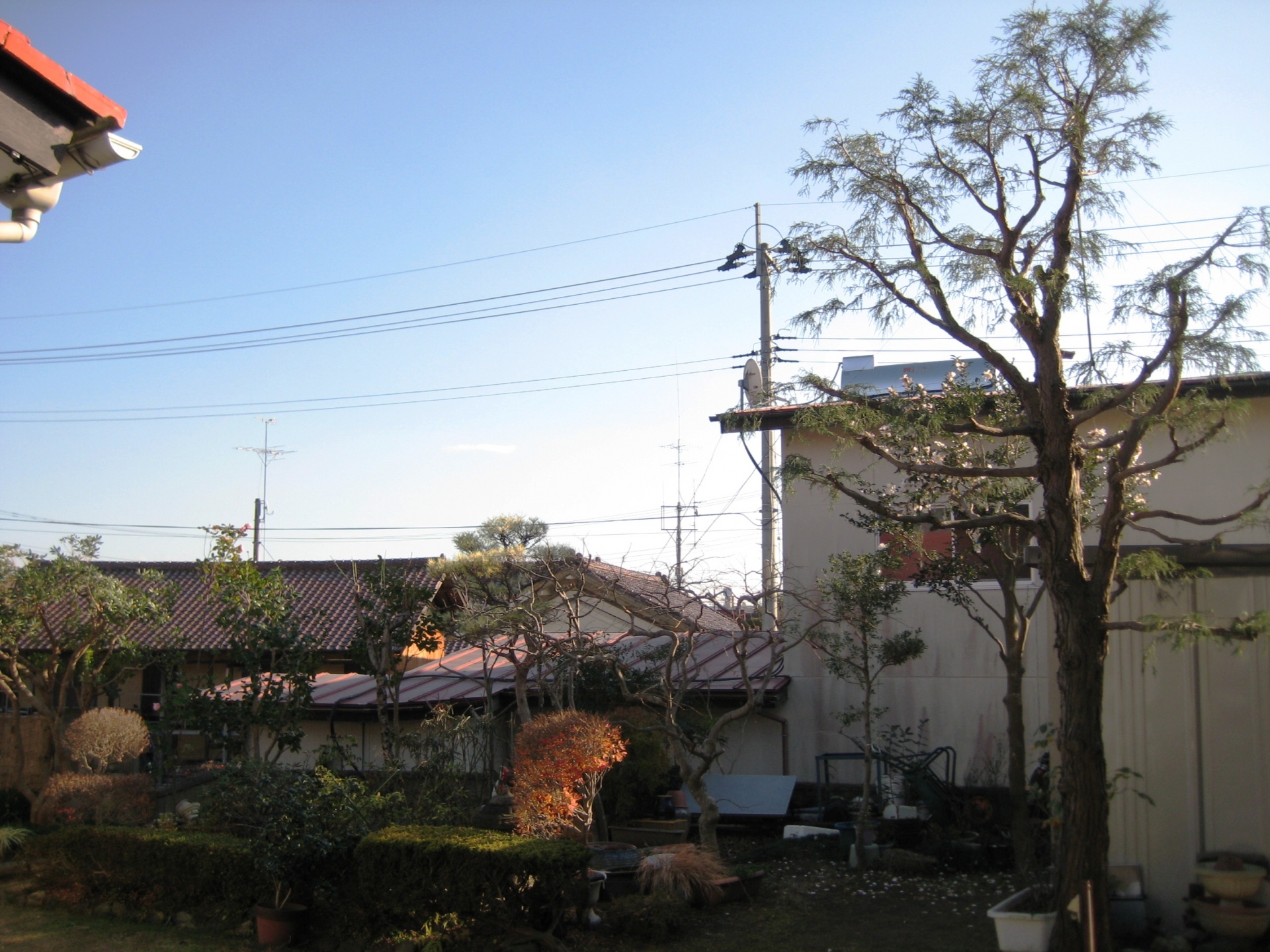 郡山市　Ｋ様邸（お庭手入れ）