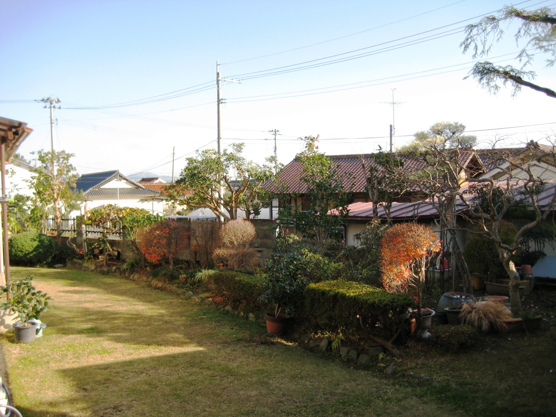 郡山市　Ｋ様邸（お庭手入れ）