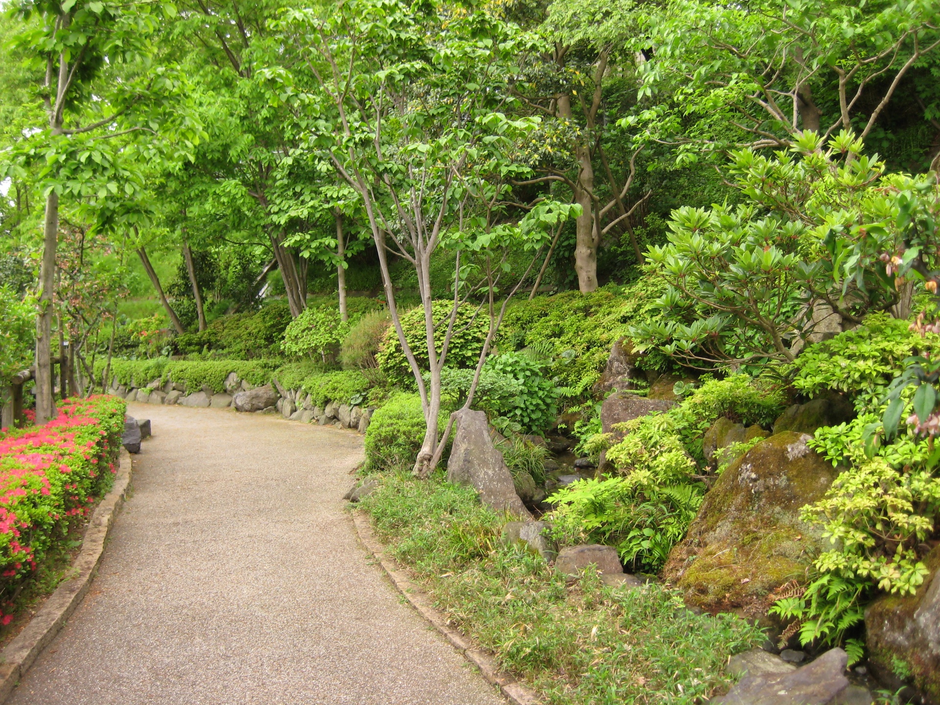 せせらぎこみち　（郡山市）