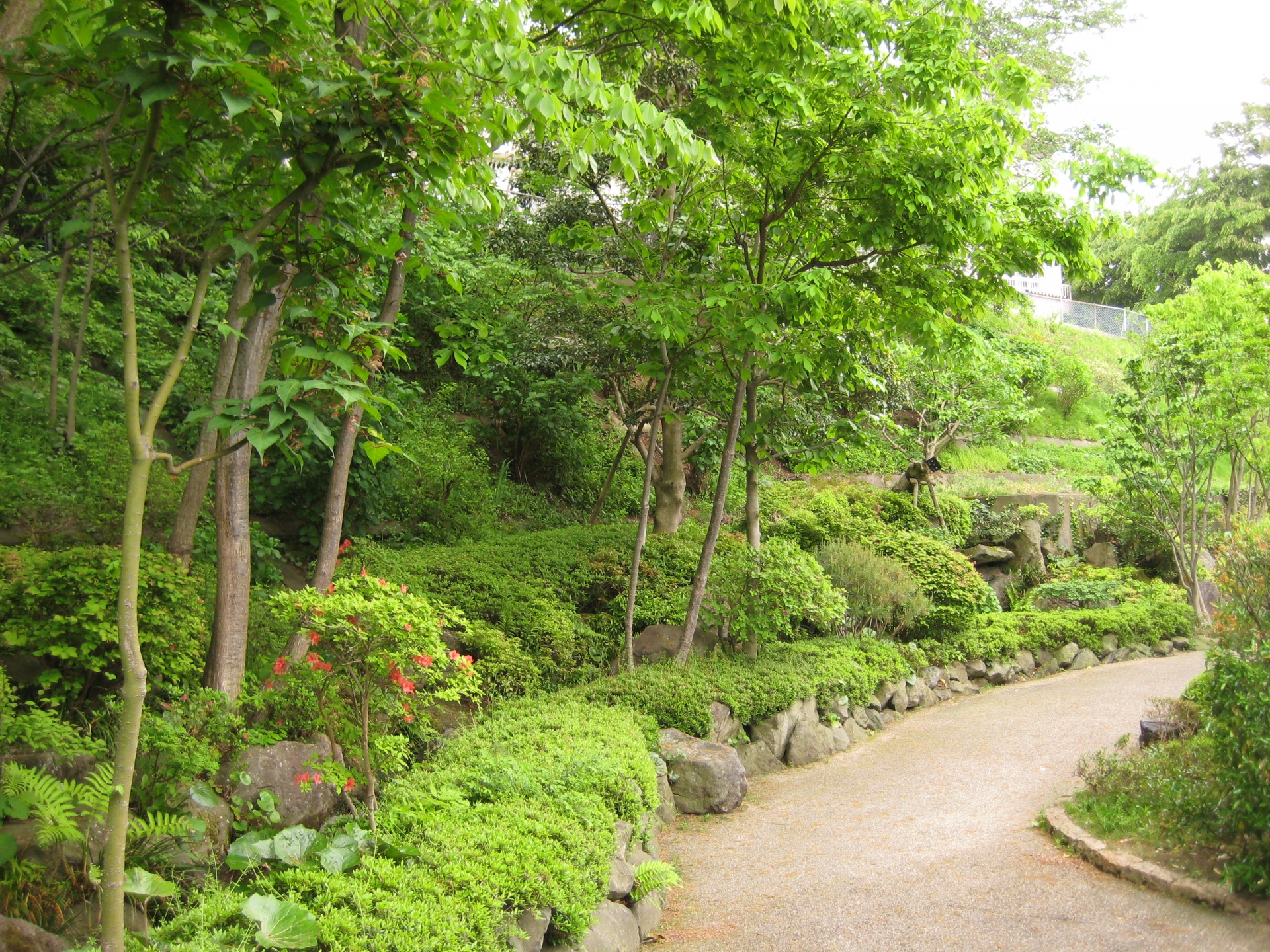 せせらぎこみち　（郡山市）