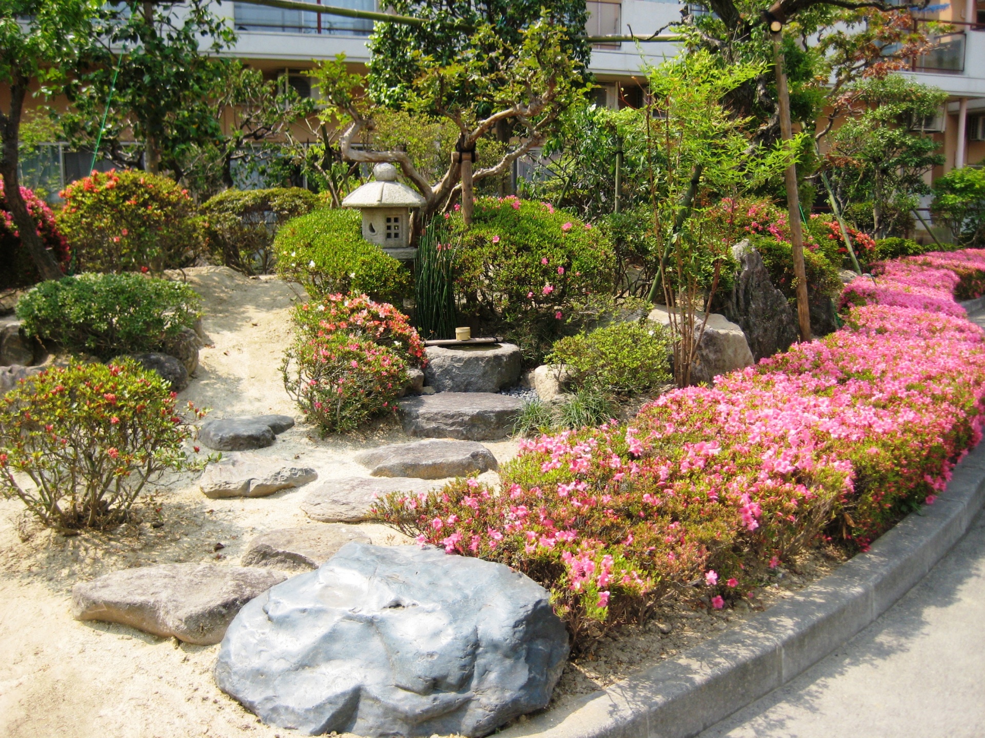 全て移植でまとめた和風庭園（郡山市　ケアハウス光の森）