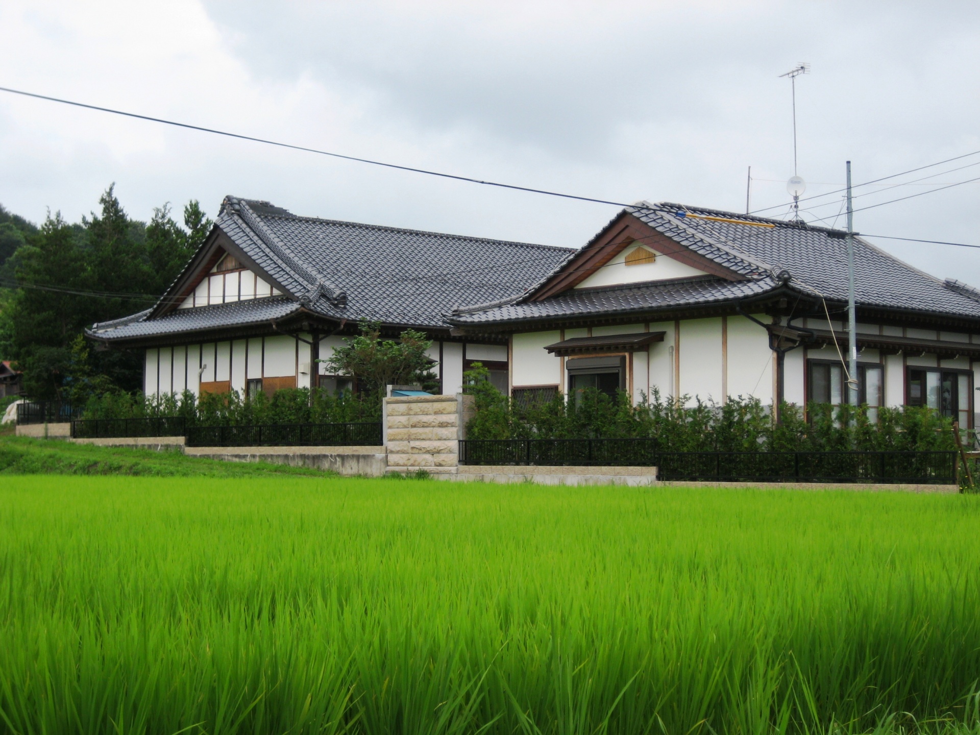 風景にマッチした目隠し生垣（須賀川市　Ｉ様 邸）