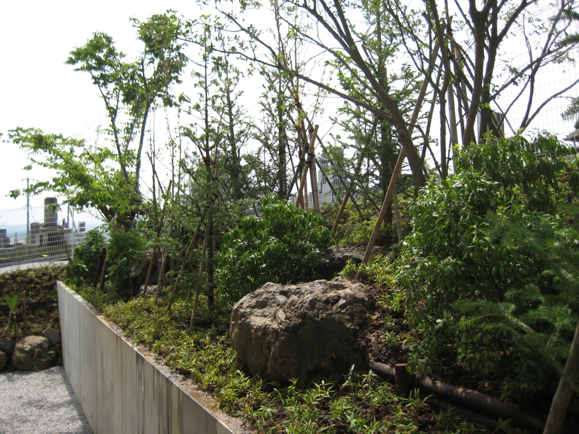 法面の土留めを兼ねた植栽　（郡山市）