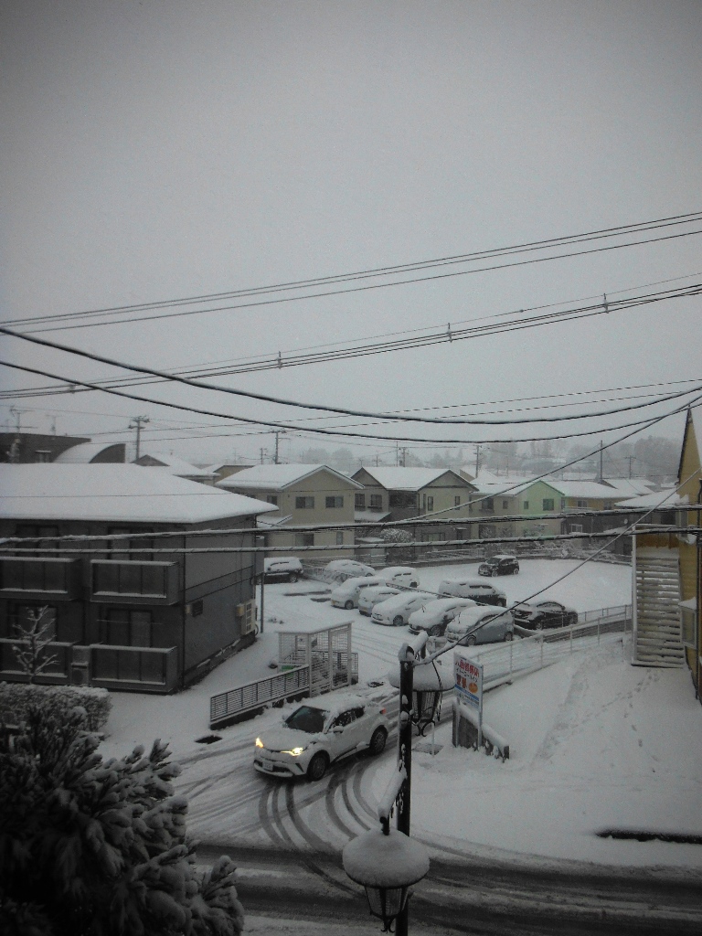 雪！！