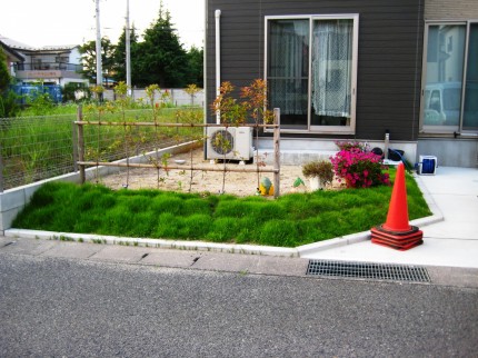 駐車場の一角に現れたかわいいお庭