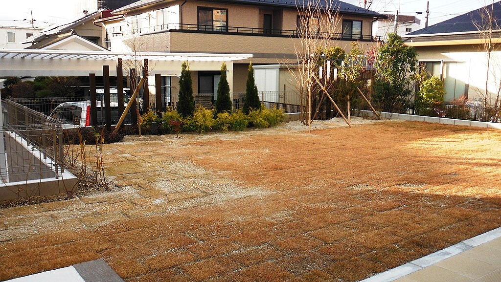 植栽 目隠し