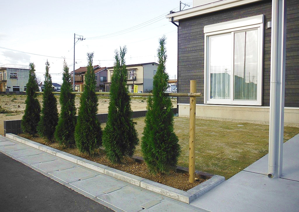 郡山市　新築外構庭まわり　コニファー植栽　天然芝張り