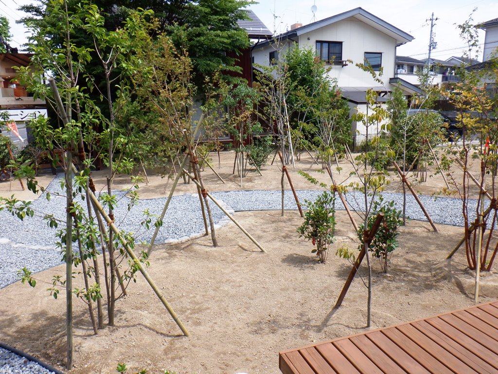 展示場植栽