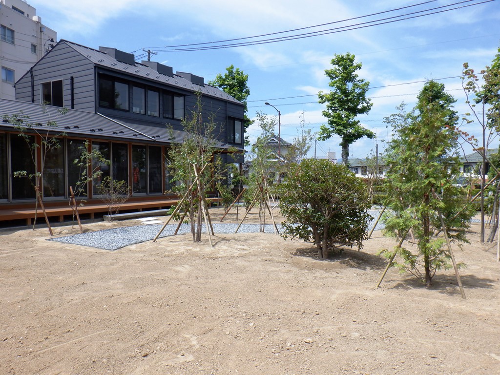 展示場植栽