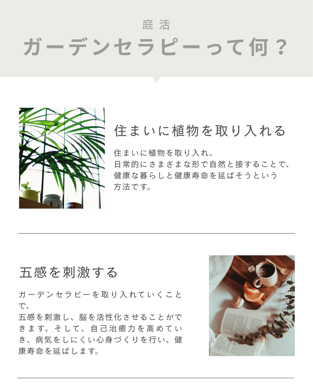 庭活　ガーデンセラピーって何？