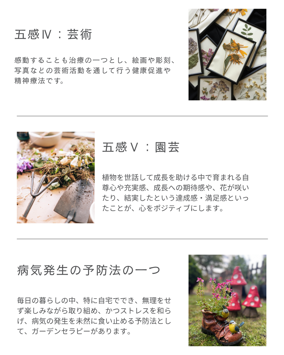 庭活　ガーデンセラピーって何？