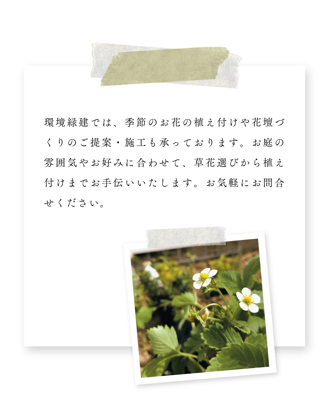 環境緑建のガーデンセラピー　庭活