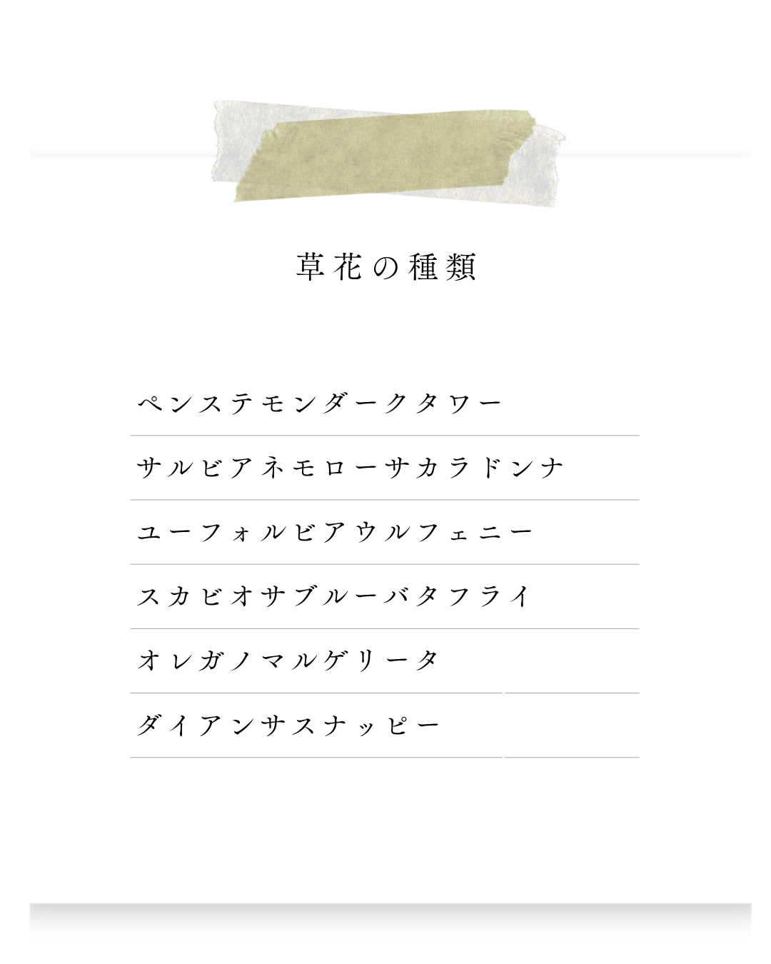環境緑建のガーデンセラピー　庭活