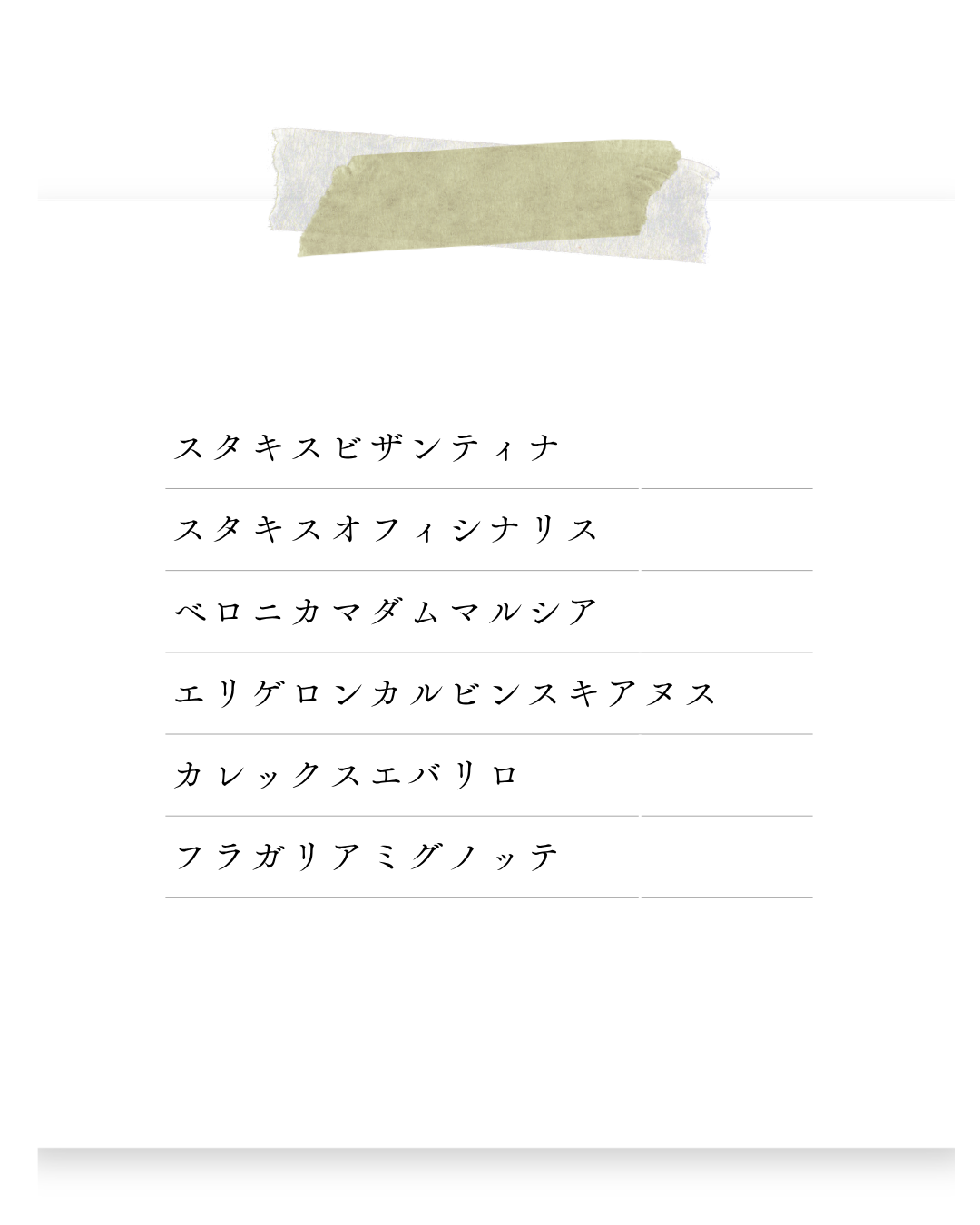 環境緑建のガーデンセラピー　庭活
