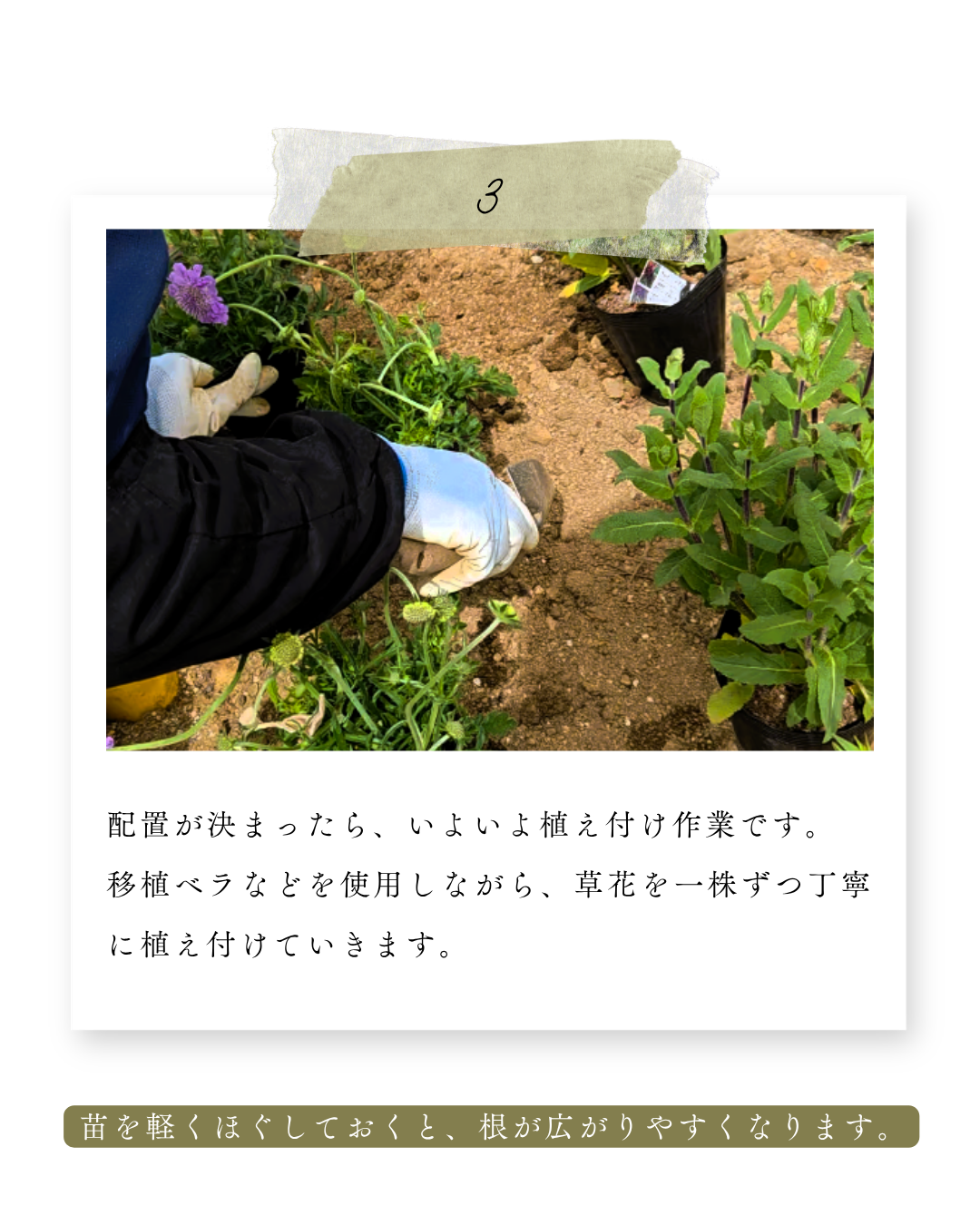 環境緑建のガーデンセラピー　庭活