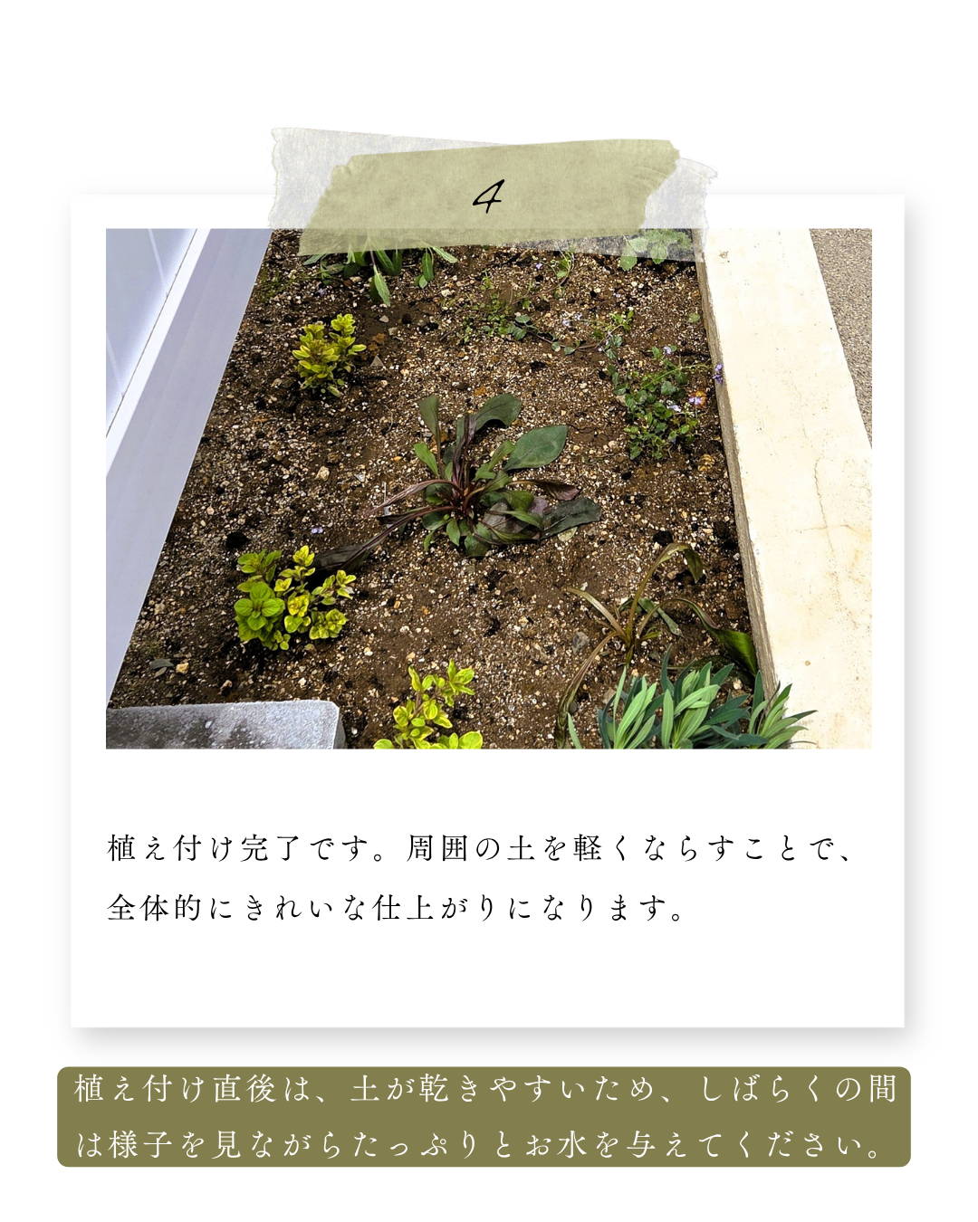 環境緑建のガーデンセラピー　庭活