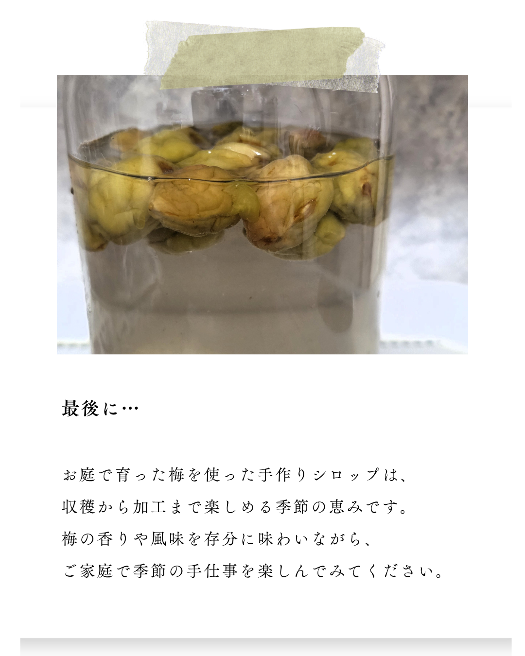 環境緑建　ガーデンセラピー　お庭で収穫