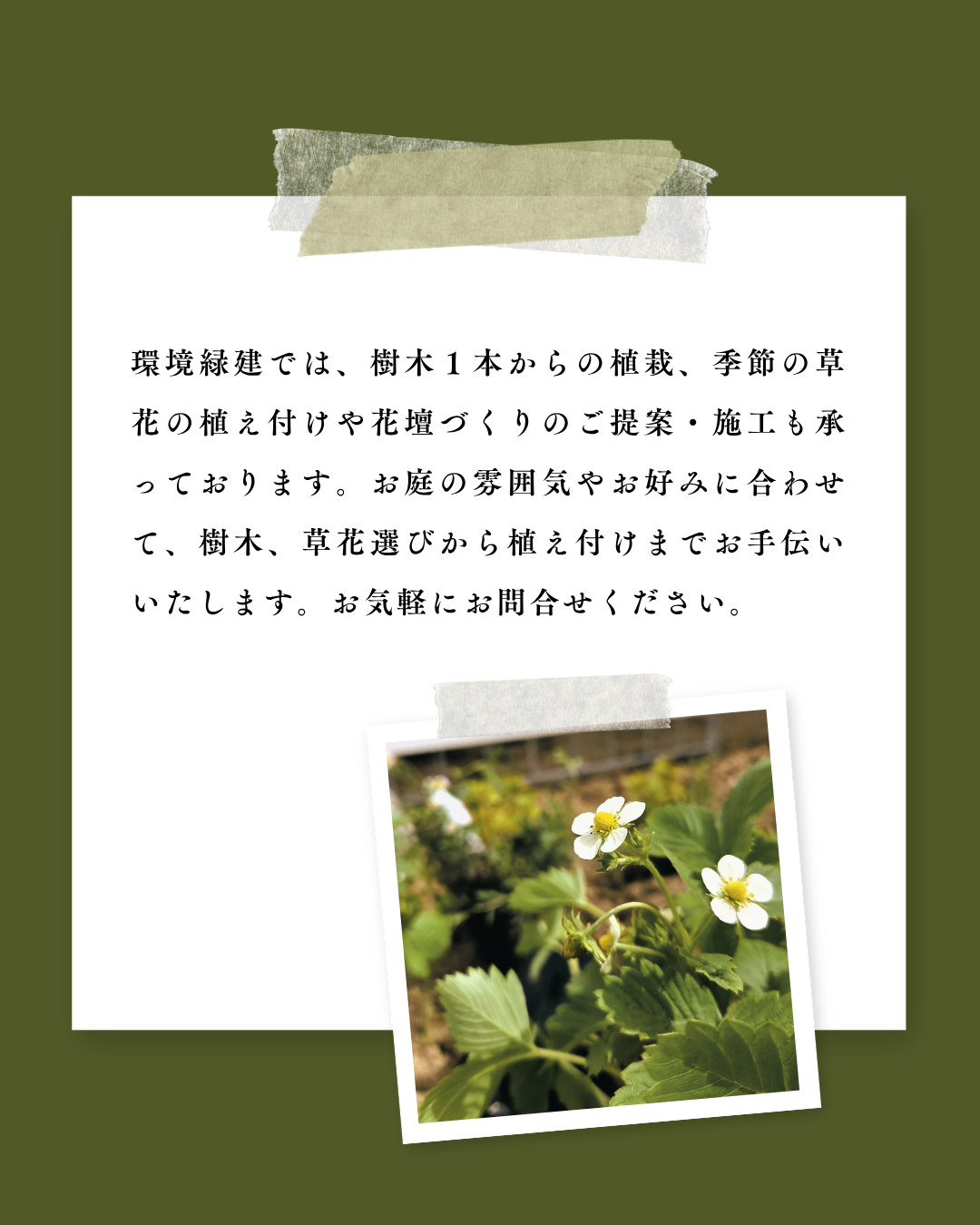 環境緑建のガーデンセラピー　庭活