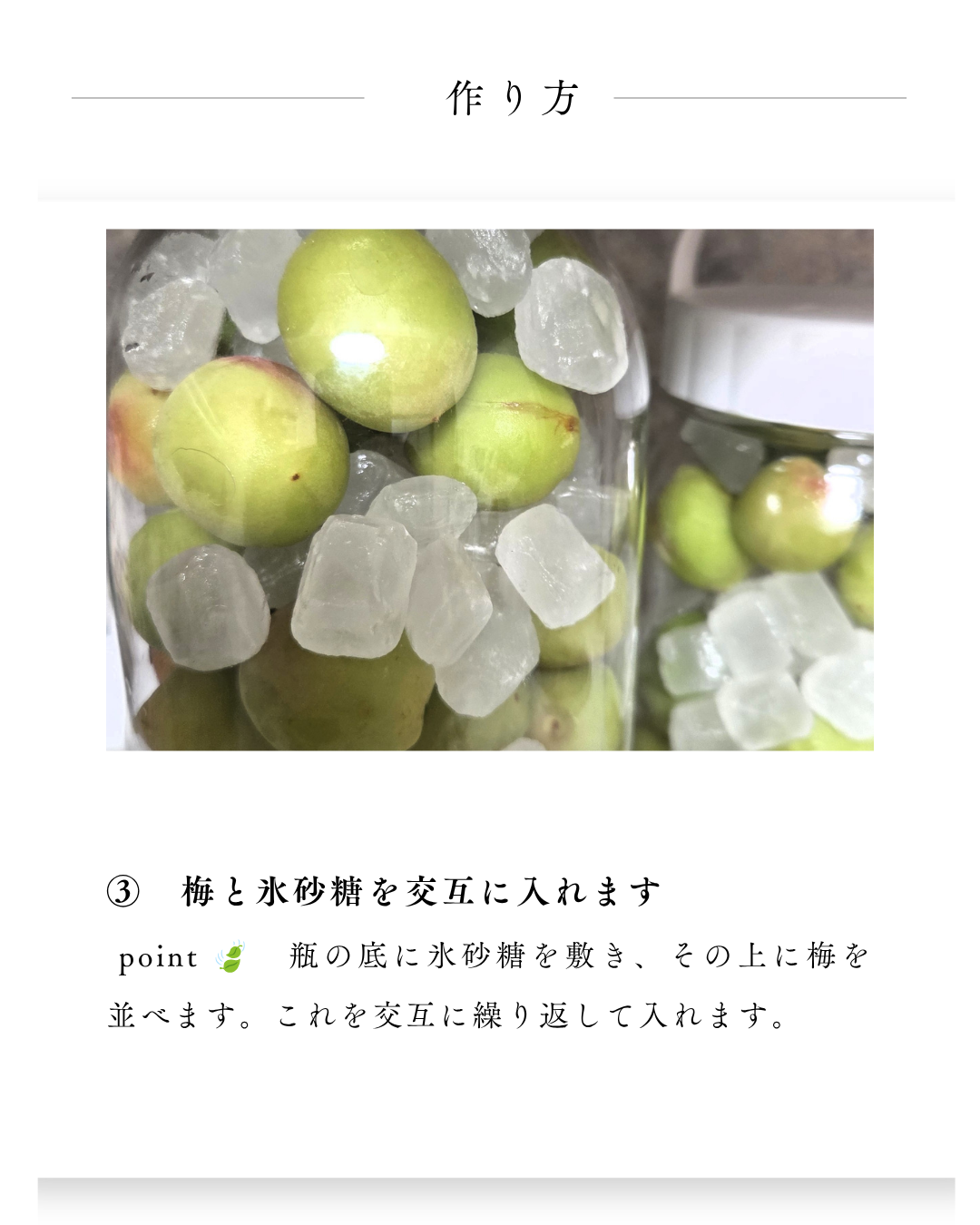 環境緑建　ガーデンセラピー　お庭で収穫