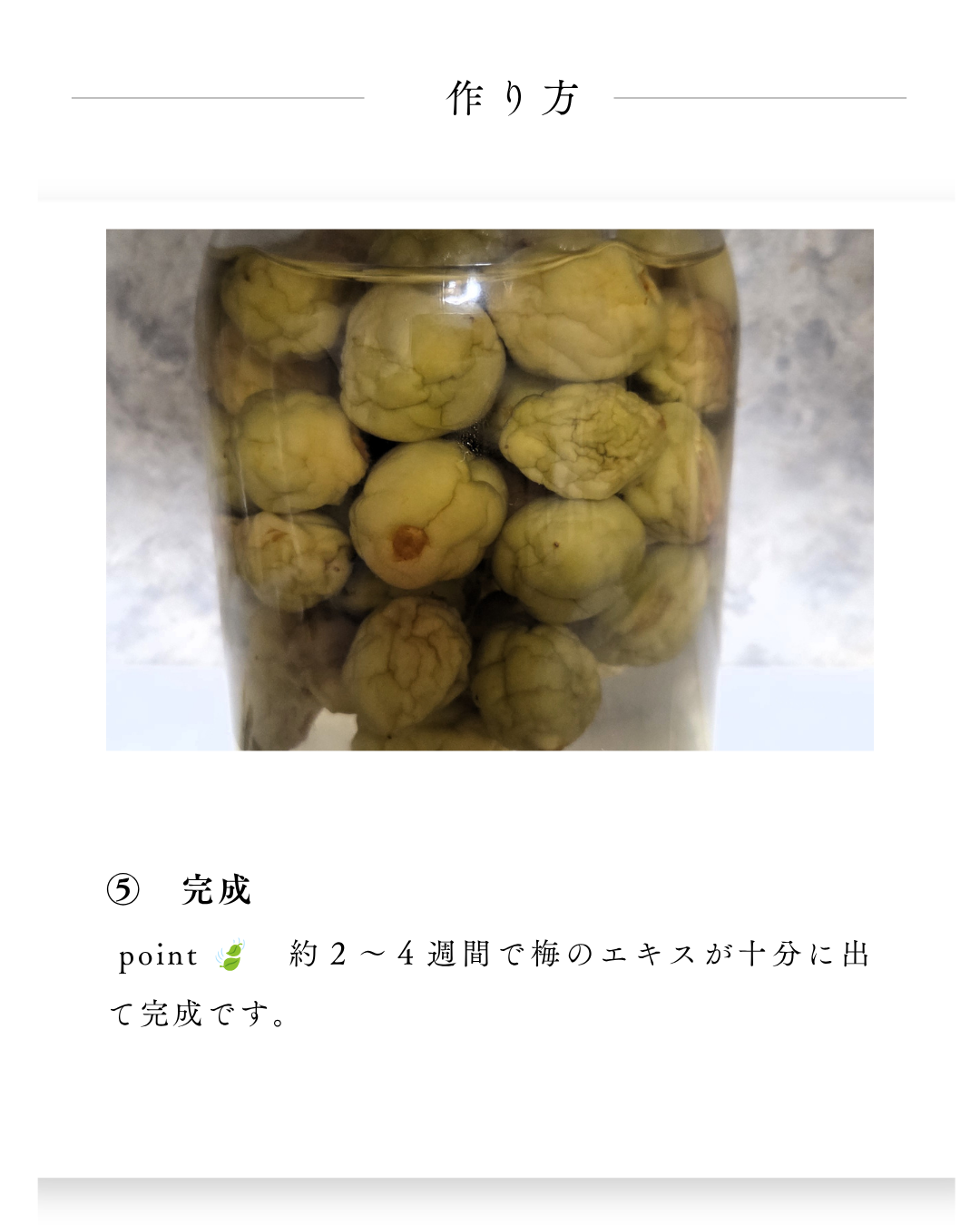 環境緑建　ガーデンセラピー　お庭で収穫