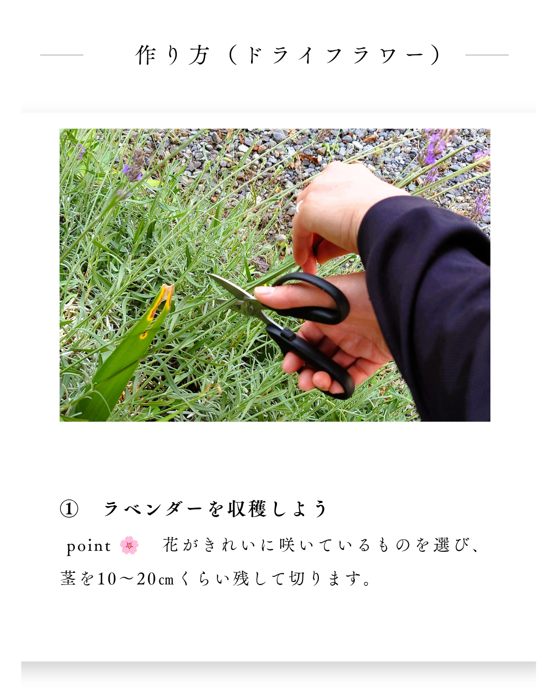 環境緑建　庭活　ガーデンセラピー
