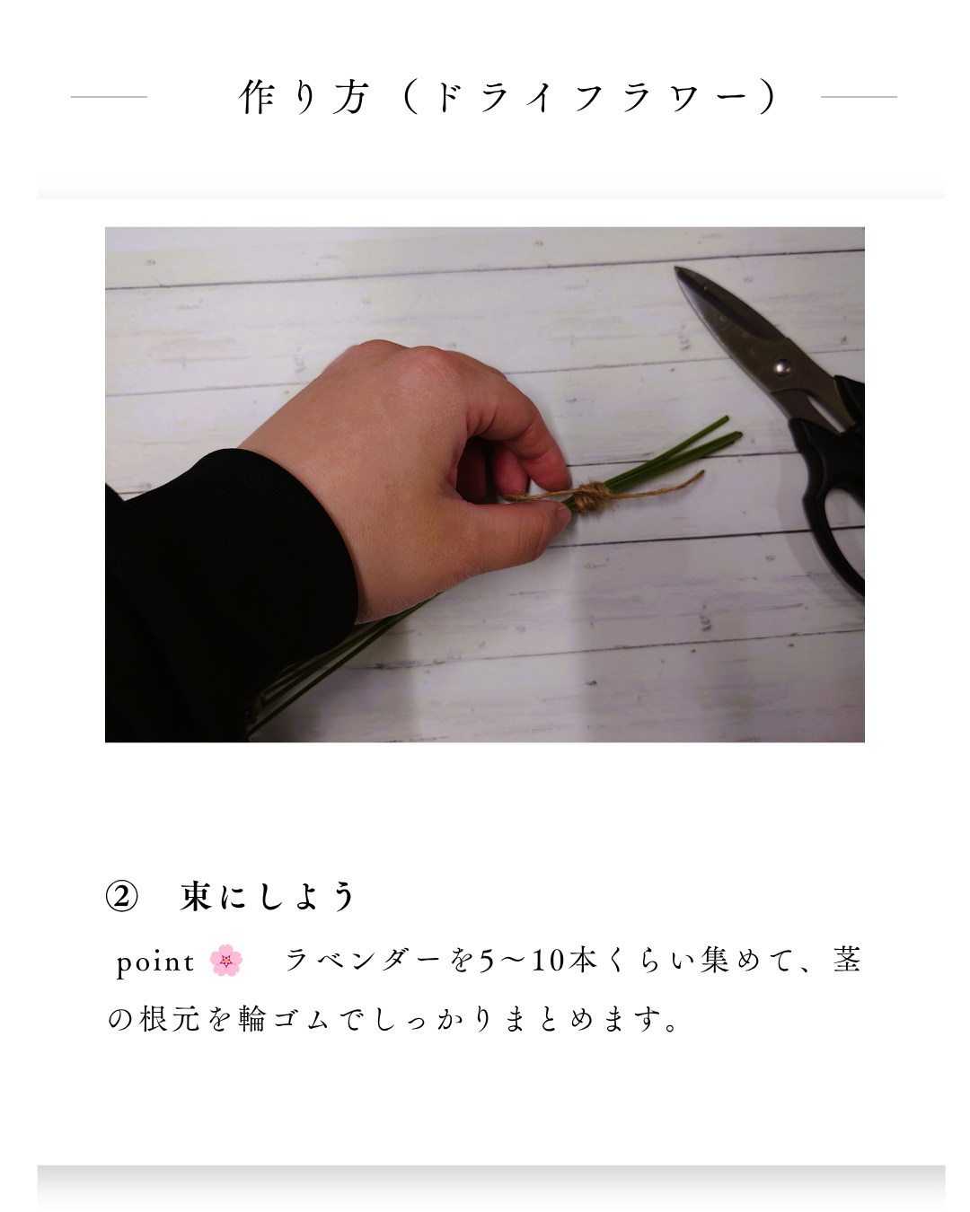 環境緑建　庭活　ガーデンセラピー